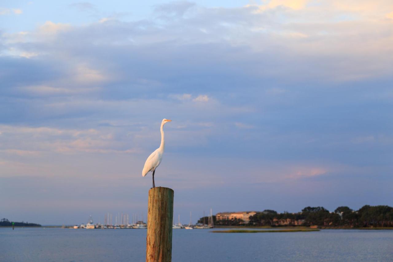 Sea Side Villas Hilton Head Island Exteriör bild